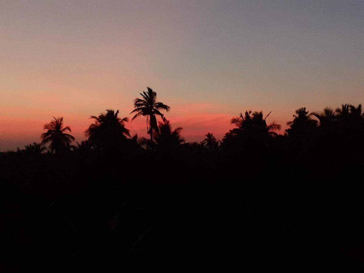 Holi-Wood Guesthouse Puducherry Exterior foto